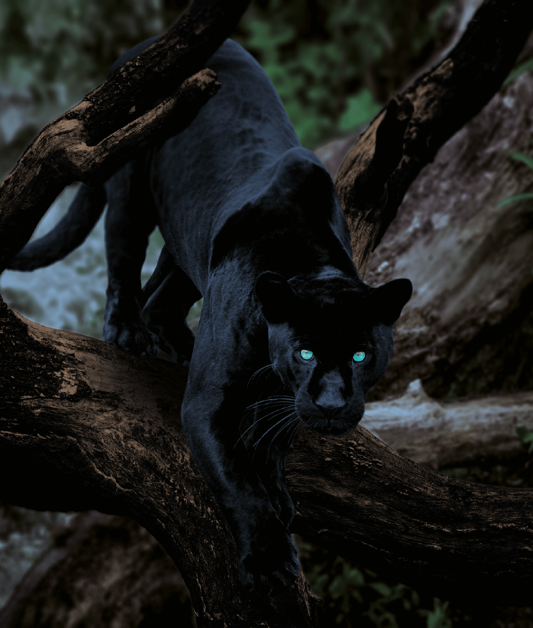 Des personnes se serrent la main